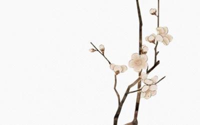结完婚几天才能回娘家  三天回门省亲最佳
